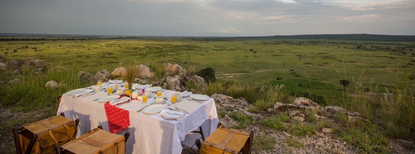 Tarangire Treetops