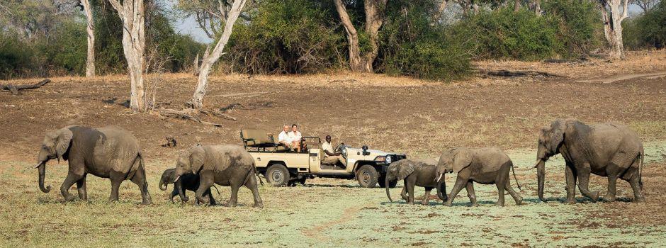 Luangwa Safari House