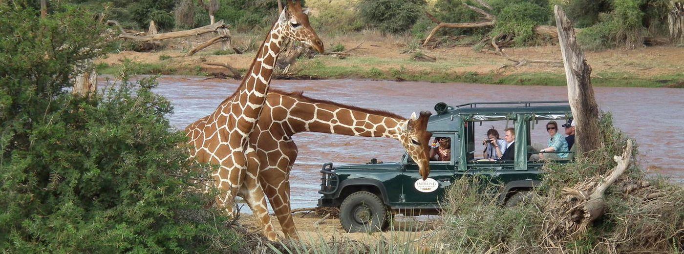 Samburu Intrepids Camp