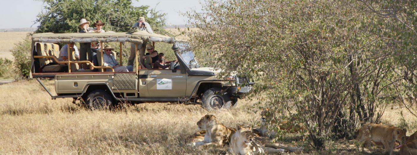 A Scenic Safari Adventure