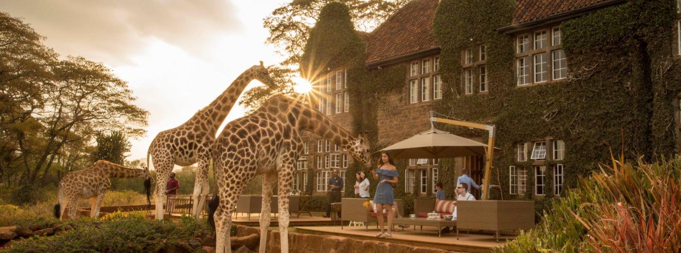 Giraffe Manor