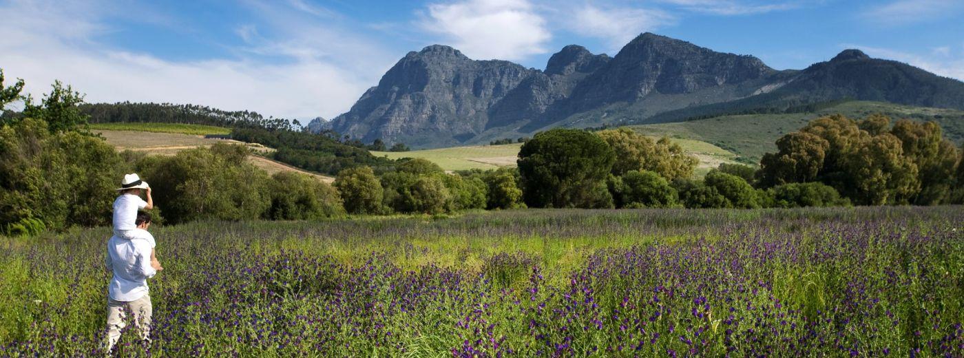 Babylonstoren