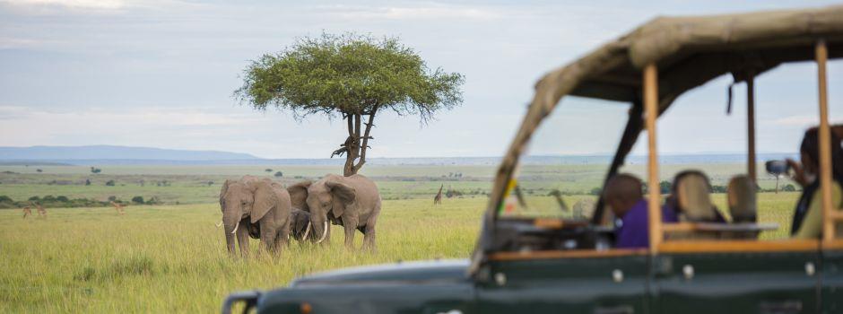 Kilima Safari Camp