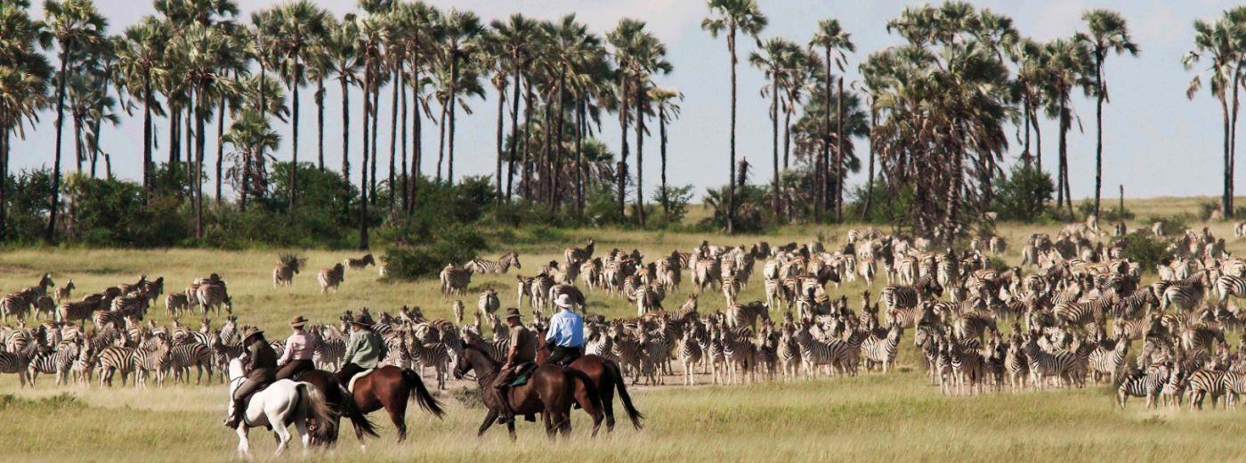 Camp Kalahari