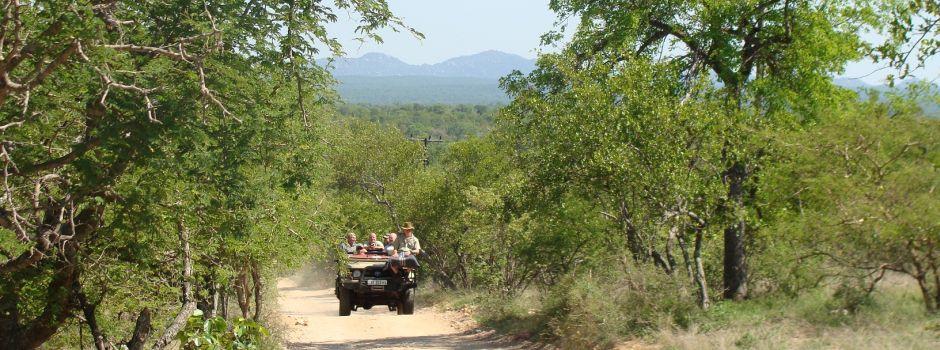 Masodini Private Game Lodge