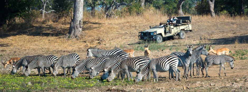 Luangwa River Camp