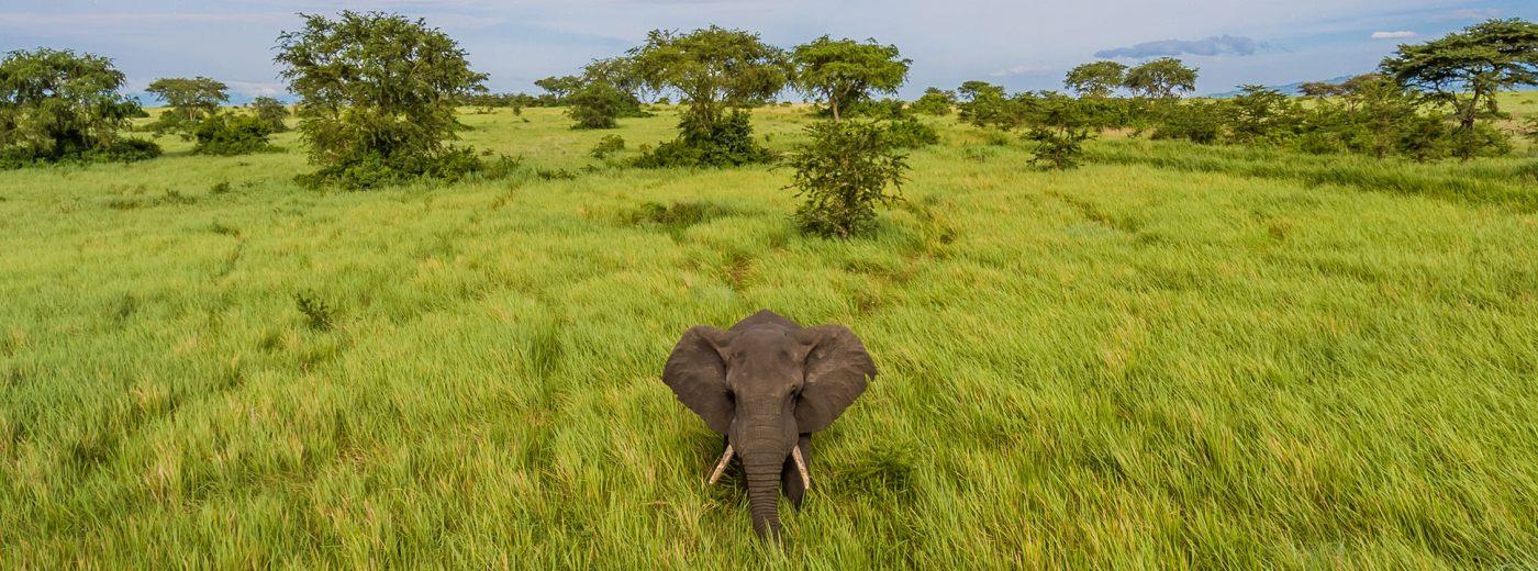 Mweya Safari Lodge