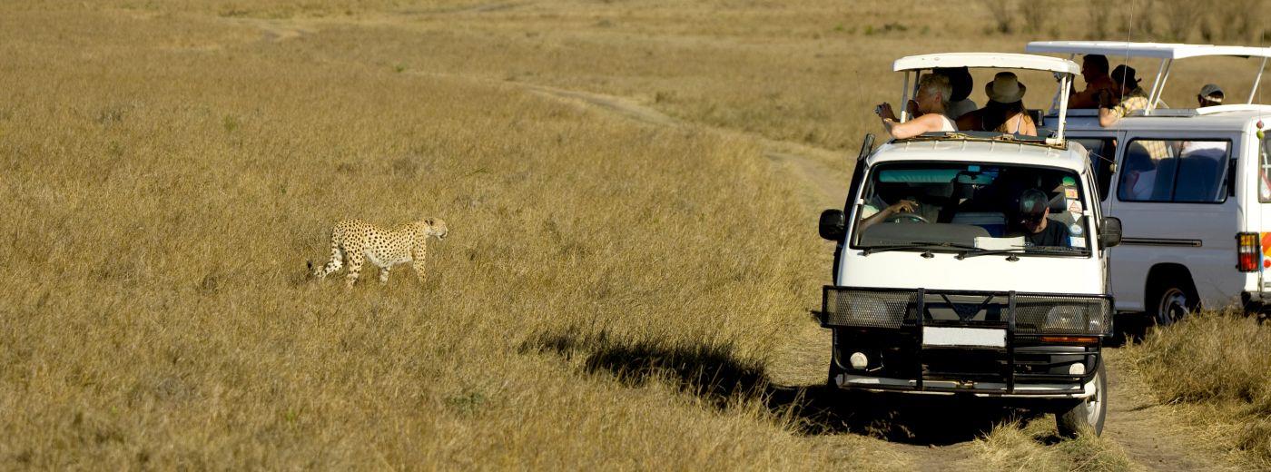 Mara River Lodge