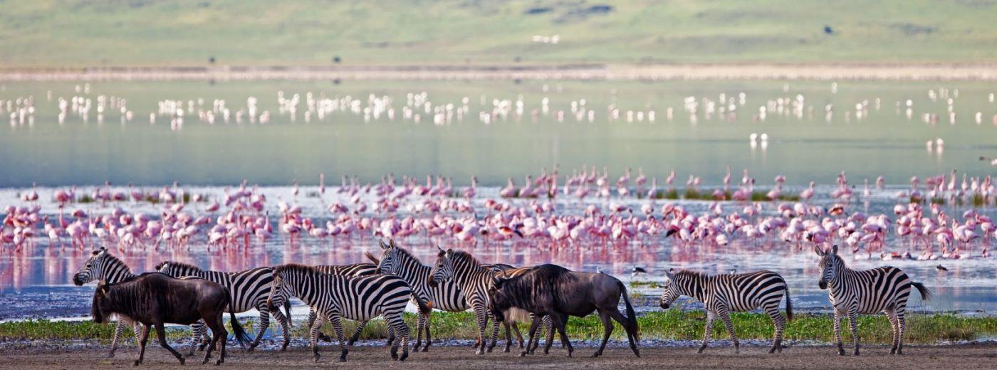 Sanctuary Ngorongoro Crater Camp