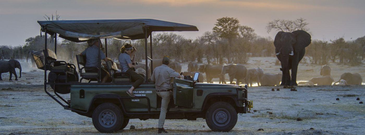 Nehimba Lodge