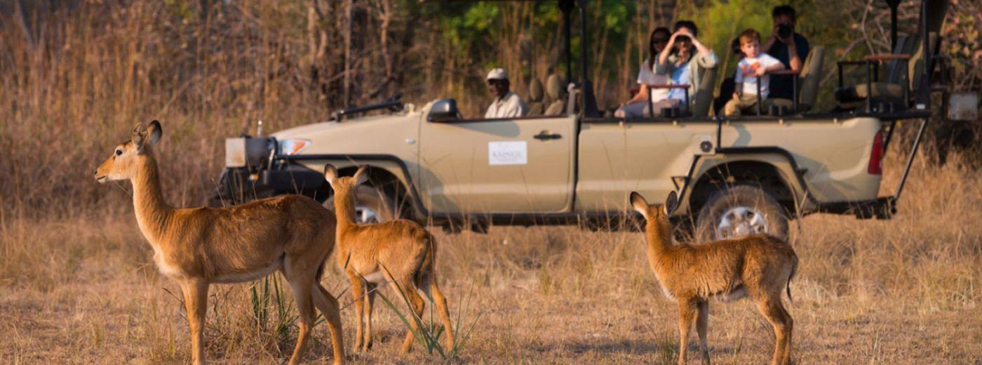 KaingU Safari Lodge