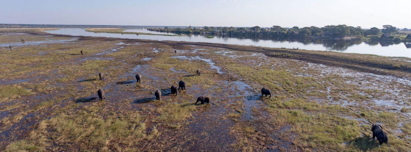 Chobe Water Villas