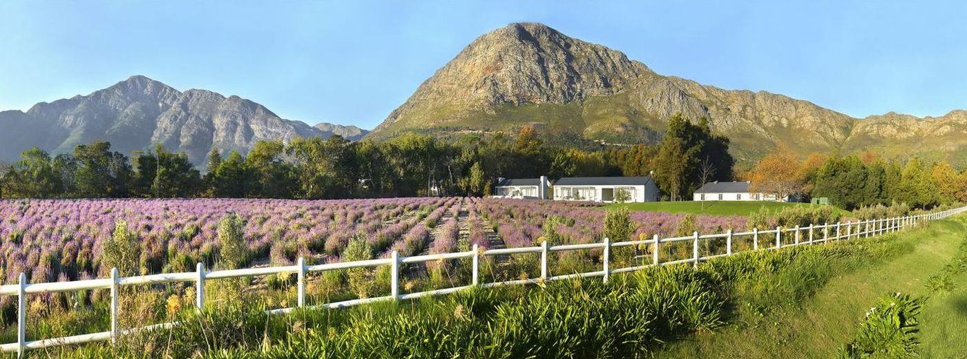 Lavender Farm Guest House