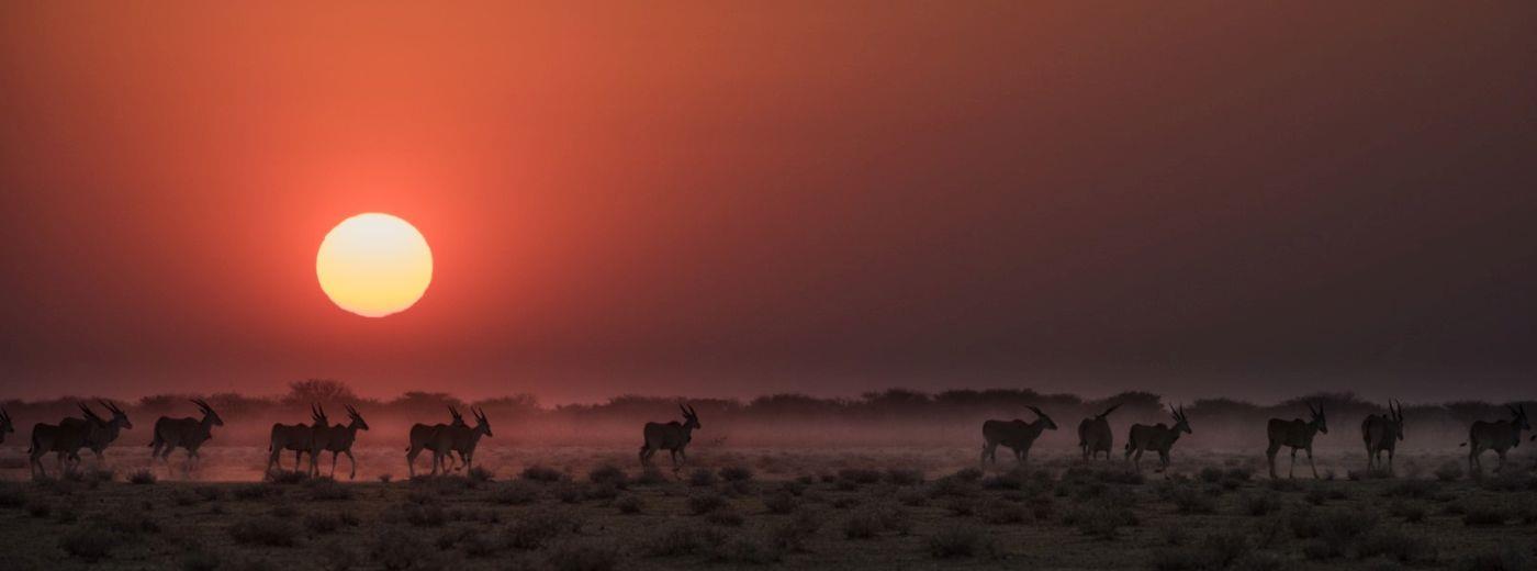 Etosha Heights Safarihoek Lodge