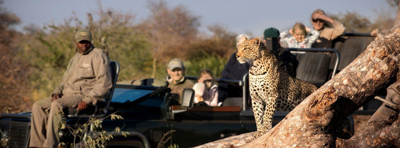 Rockfig Safari Lodge