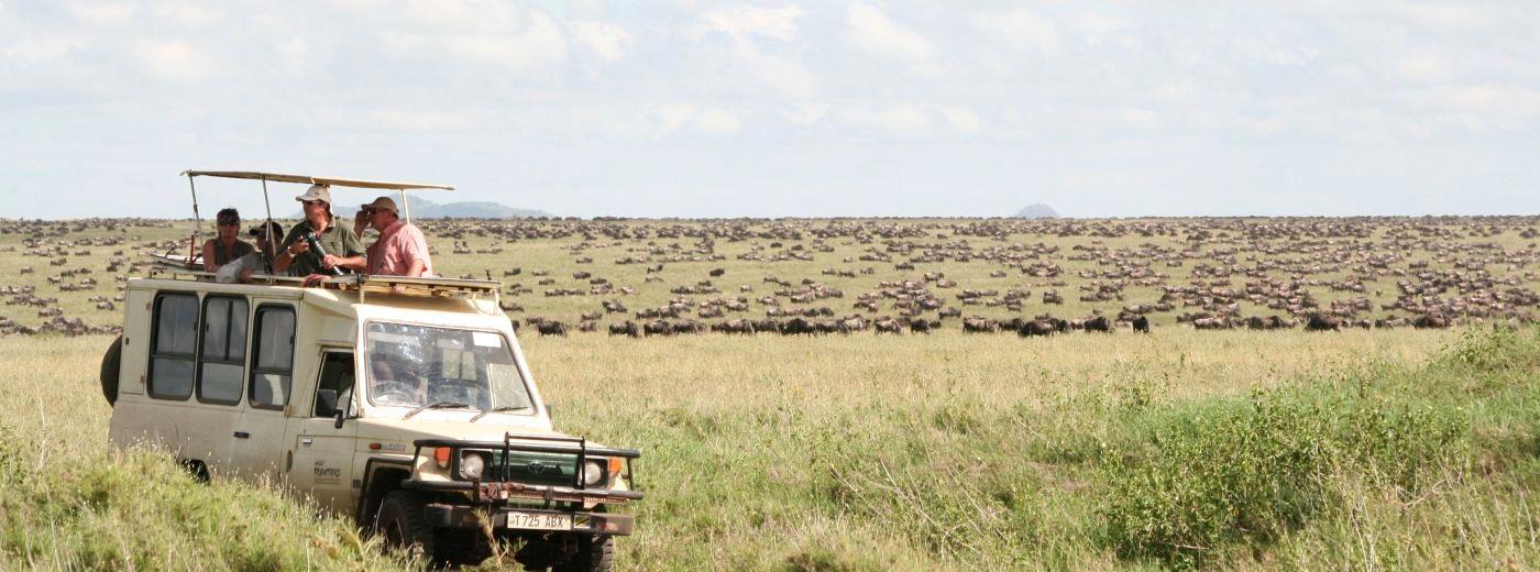 Serengeti Wilderness Camp