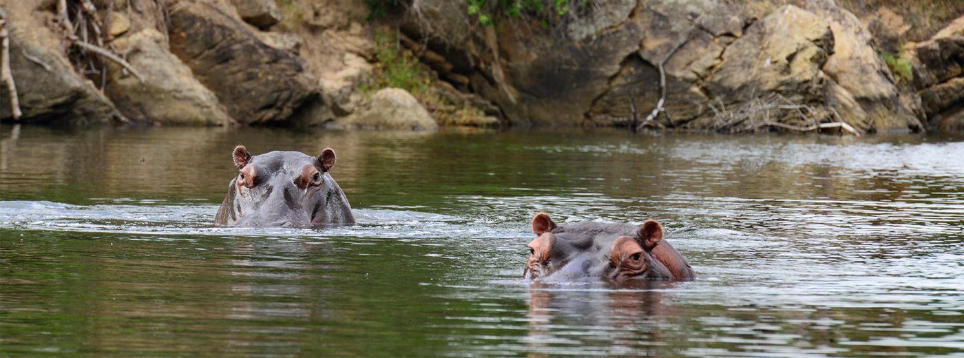 South Africa Family Adventure