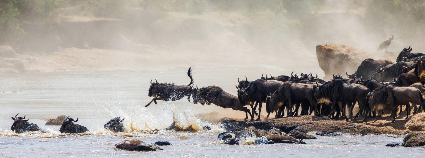 Serengeti Sojourn Camp - North