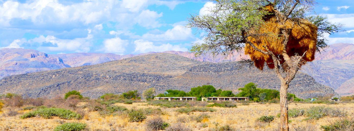 Weltevrede Guest Farm