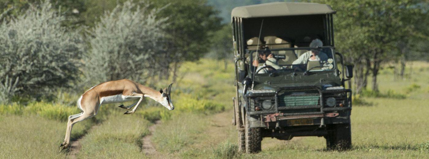 Ongava Tented Camp