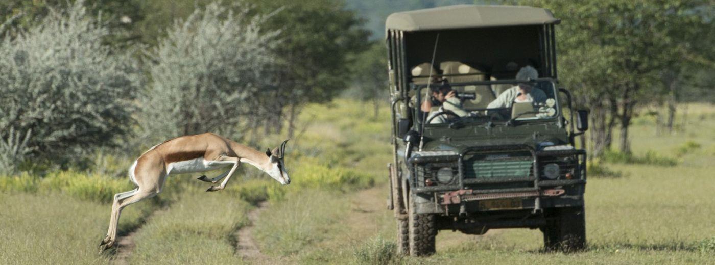 Ongava Lodge