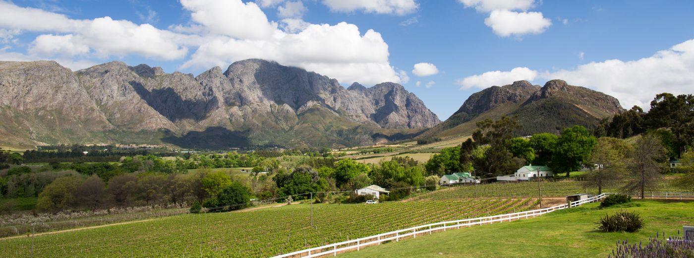 Mont Rochelle Hotel and Mountain Vineyards