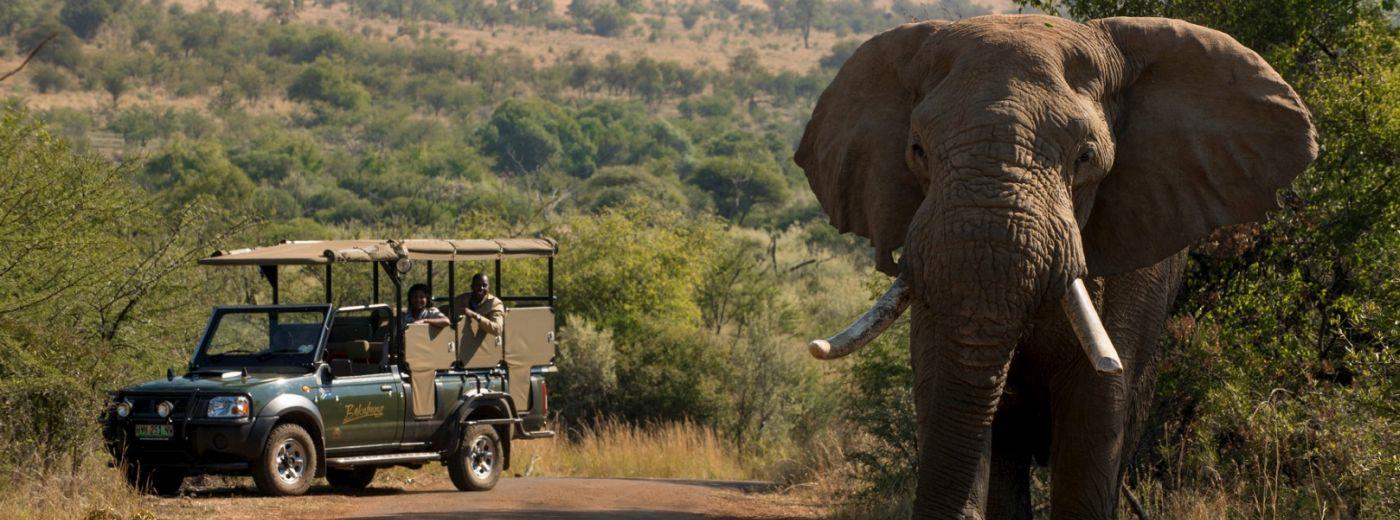 Bakubung Bush Lodge