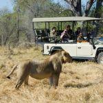 Banoka Bush Camp - 3