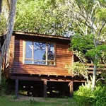 Picture 4