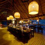 Banoka Bush Camp - 4